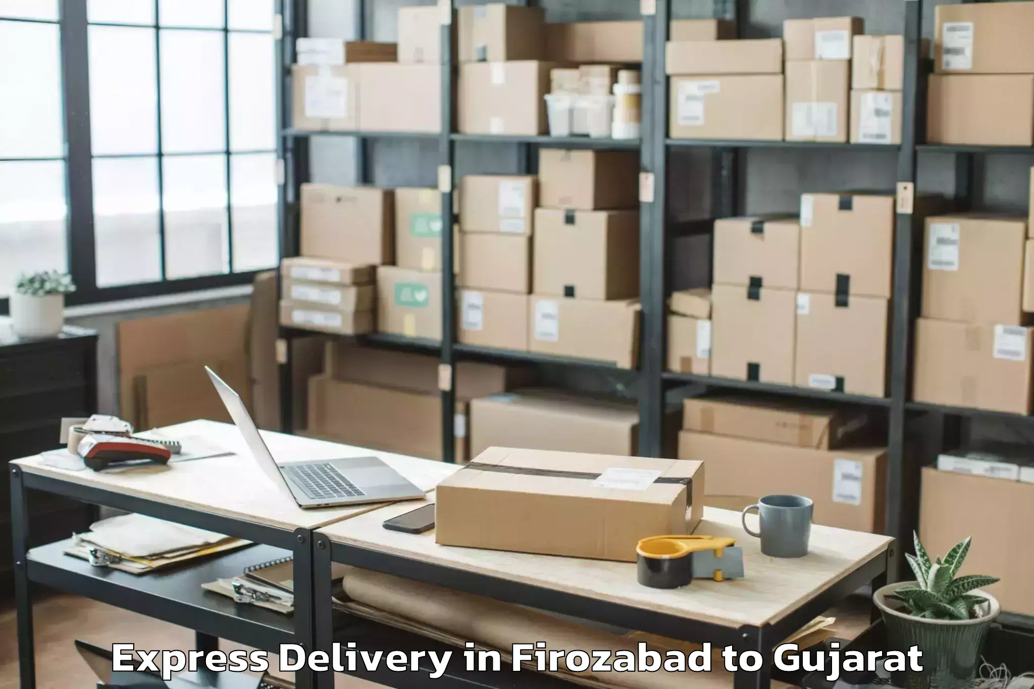 Expert Firozabad to Navsari Agricultural Universit Express Delivery